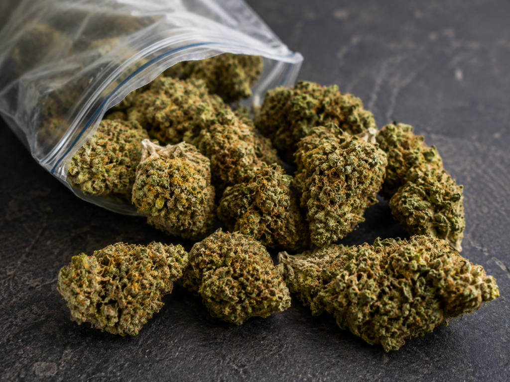 Cannabis Laws in Sweden