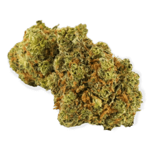 Lemon Sativa weed Strain