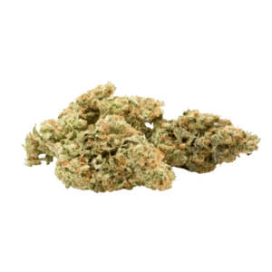 Mango Cake Sativa weed Strain