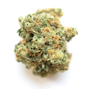 Santa Sativa weed Strain