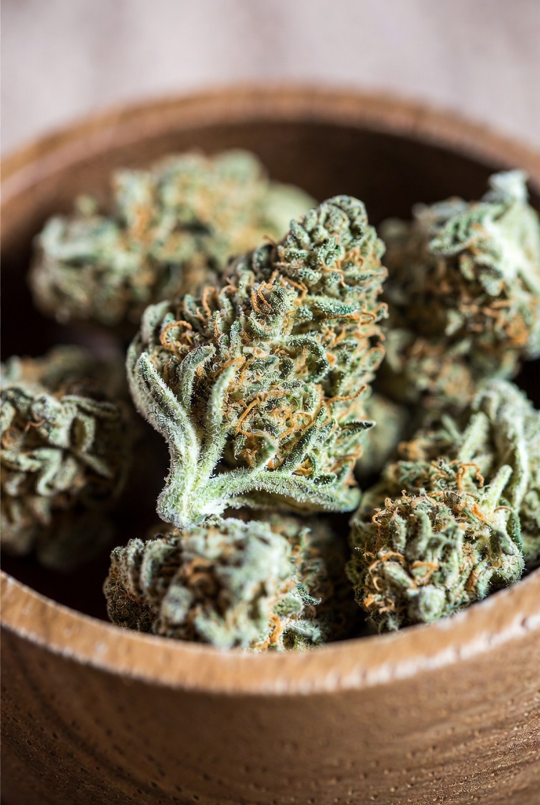 Where to Buy Weed in Stockholm