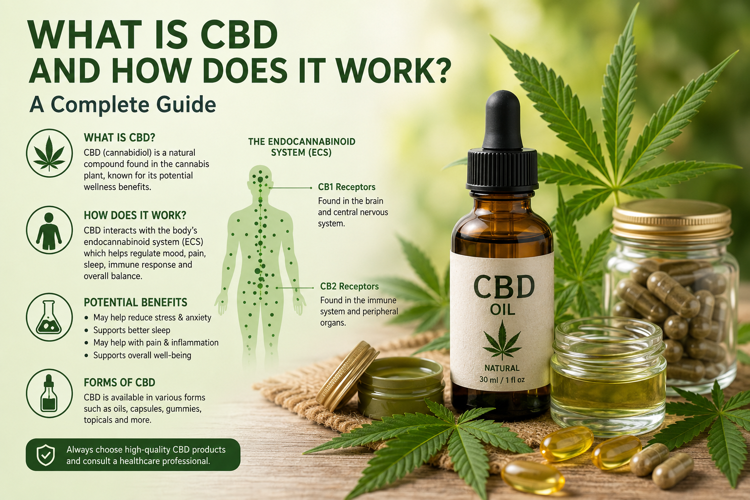 What Is CBD and How Does It Work?